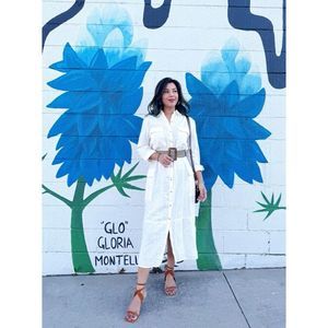 ZARA LINEN BLEND BELTED SHIRTDRESS